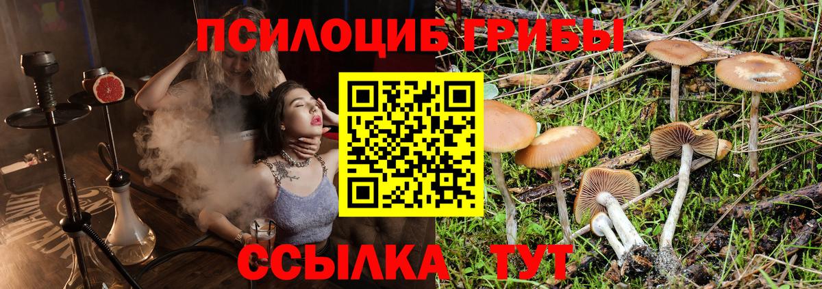 Сунжа  Вход с VPN  ГАШИШ  ГАШ  Кокаин  Купить наркоту  Мефедрон   МЕФ  МАРИХУАНА 