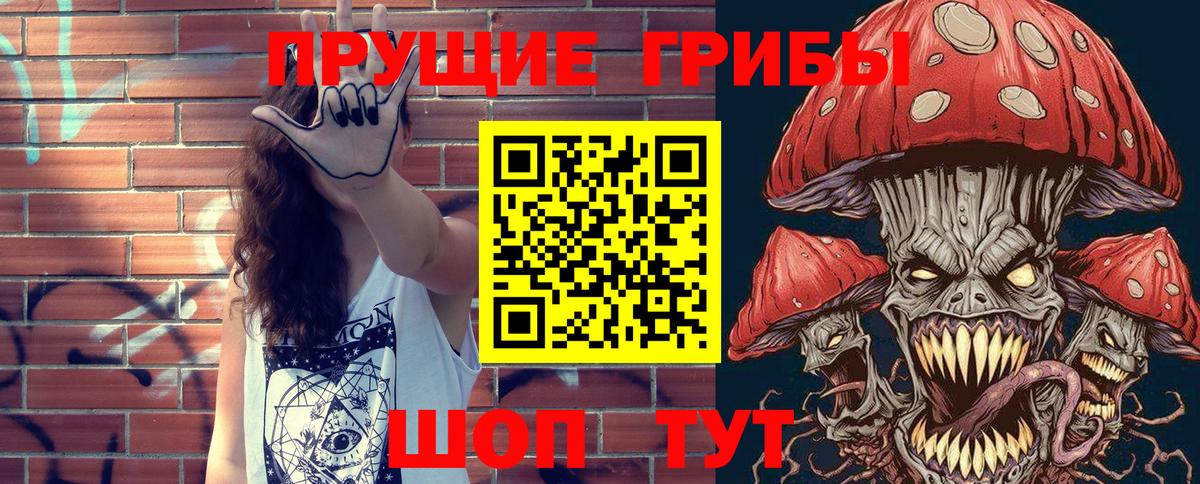 Псилоцибиновые грибы мухоморы  хочу наркоту  Псилоцибиновые грибы Cubensis  Сунжа  Вход с VPN 