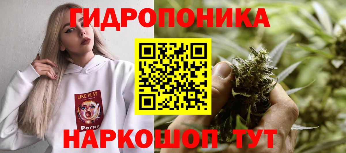 Марихуана ГИДРОПОН Сунжа